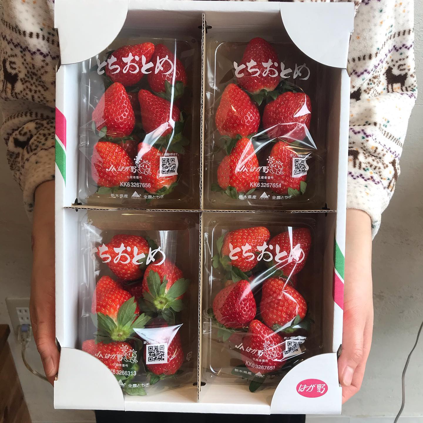 とちおとめ届きましたー栃木県真岡市の加藤農園さんのフレッシュなとちおとめです。それを使って今日から【いちごミルククリームサンド】でます！甘酸っぱい苺とミルククリームが相性抜群の去年も作った人気商品です️とちおとめの販売も行っています。美味しい苺とnoraのパンで素敵なクリスマスパーティはどうでしょう？